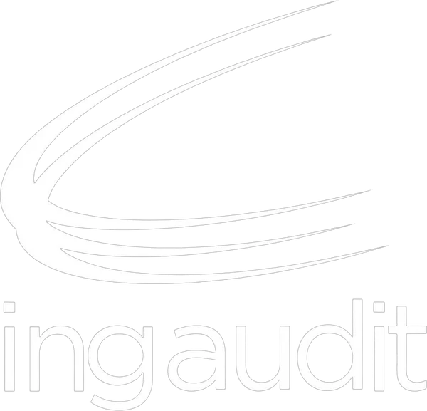 Ingaudit